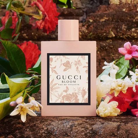 gucci bloom fragrance x|gucci bloom fragrantica.